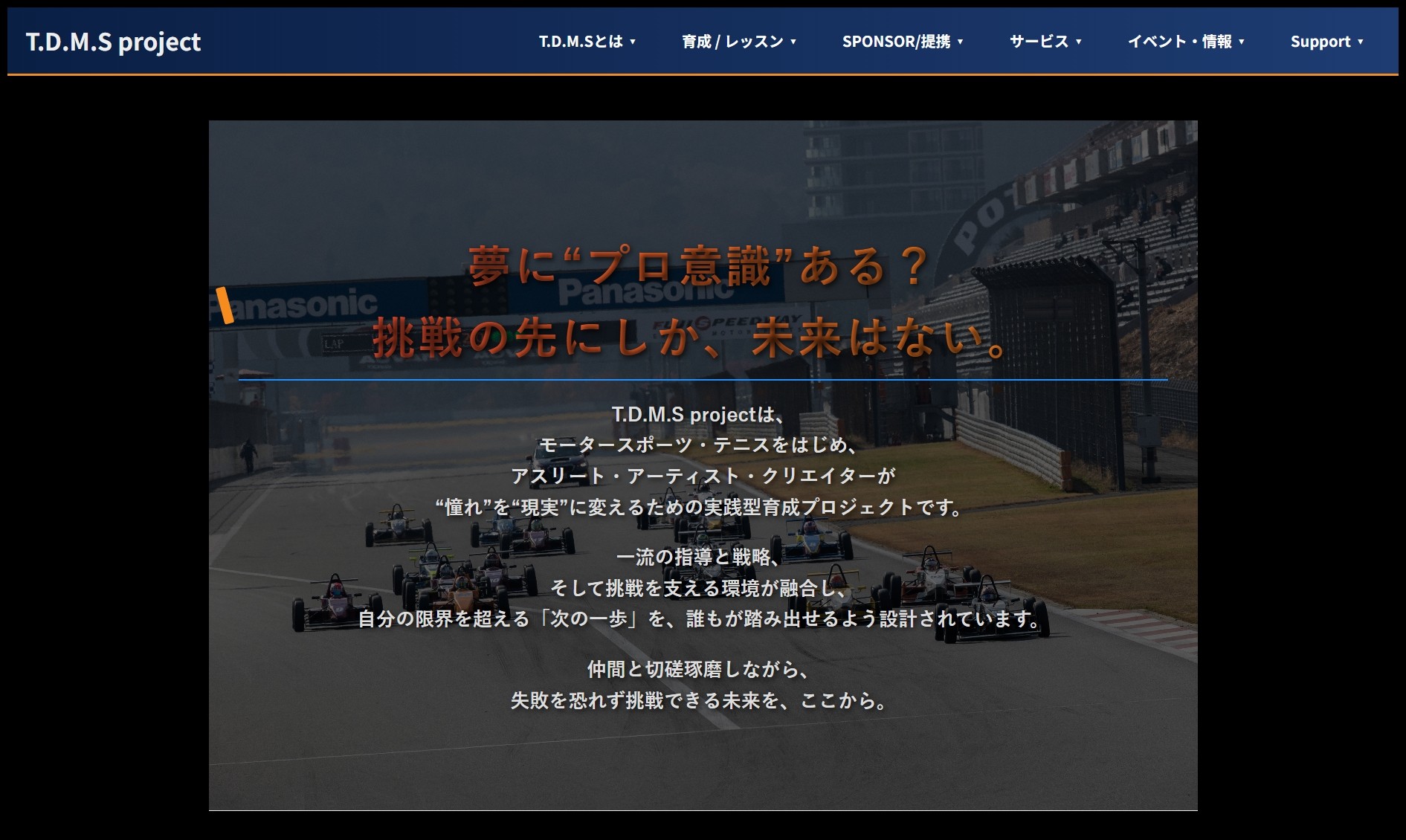 T.D.M.S project 公式サイト